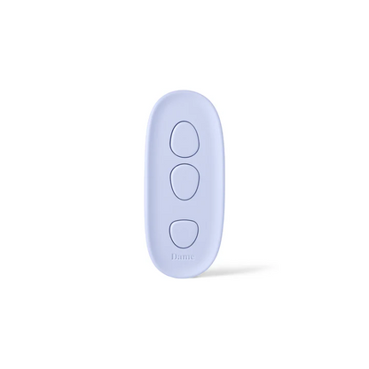 Lay Panty Vibrator with Remote Control