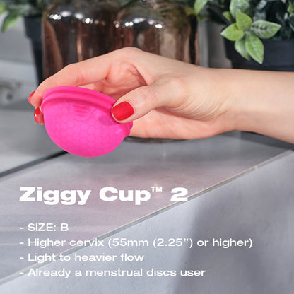 Ziggy Cup 2 - Sexy Living