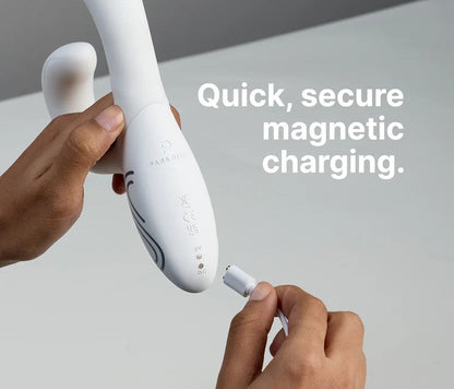 Illumination The Rabbit