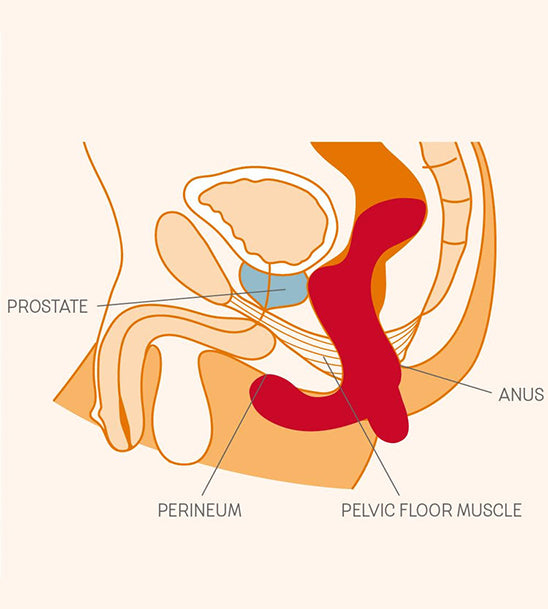 how to use a prostate massager